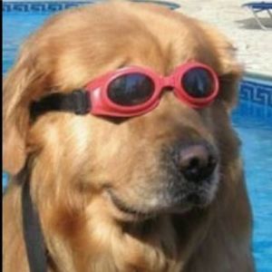 Meet your Posher, Aaron